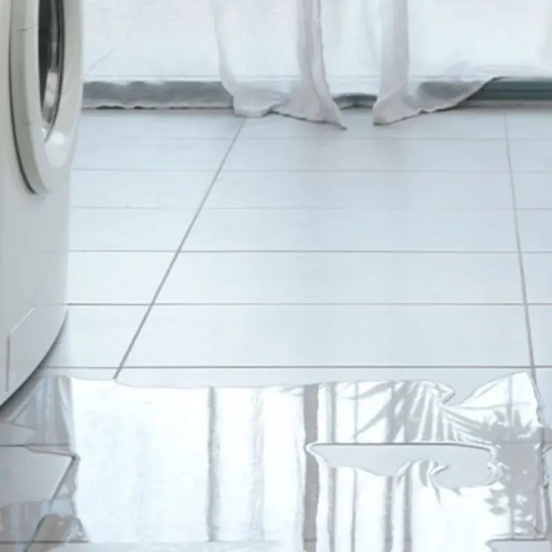 Appliance Leak Cleanup in South Highpoint, FL