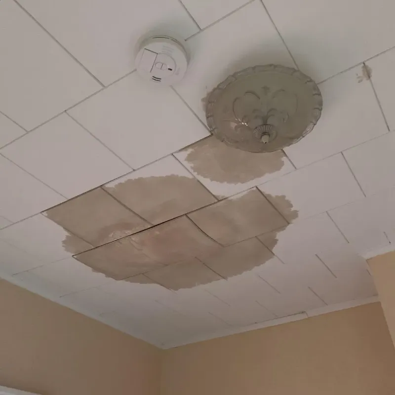 Ceiling Water Damage Repair in South Highpoint, FL